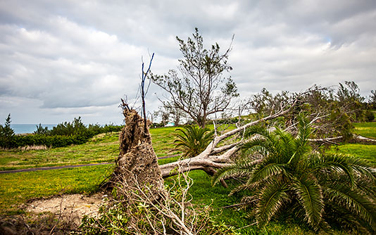 argus_property_casualty_hurricane_bermuda