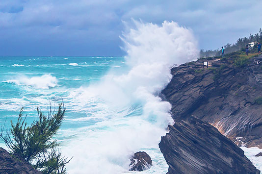 hurricane-vs-tropical-storm